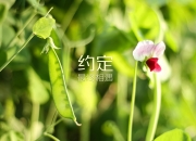 LOL赛事-这是一篇为您定制的文章，基于您给出的关键词，构建了一个充满想象力的唯一性故事