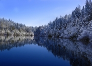 英雄联盟总决赛-当潘帕斯雄鹰遇见爱琴海风暴，基米希在中场的孤独证明