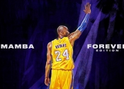 LOL赛事-奥运前哨战，阿根廷烈焰灼伤尼斯，关键一役定下争冠基调