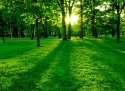 英雄联盟总决赛时间-足球人才收割机，毕尔巴鄂的塞内加尔网络与阿克在德甲的加冕礼