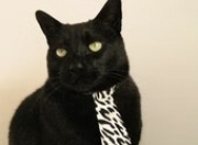 英雄联盟总决赛赛程-门迪之夜，亚平宁焦点战的四幕逆转剧