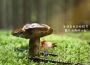 英雄联盟总决赛-牙买加闪电 vs 德国战车，一场跨越文化的NBA季后赛巅峰对决