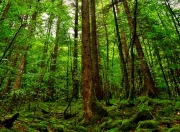 -闯入者与镜像，当76人在西决生死战中鏖战雷霆