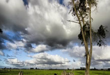 -（扩展思维后的选择）