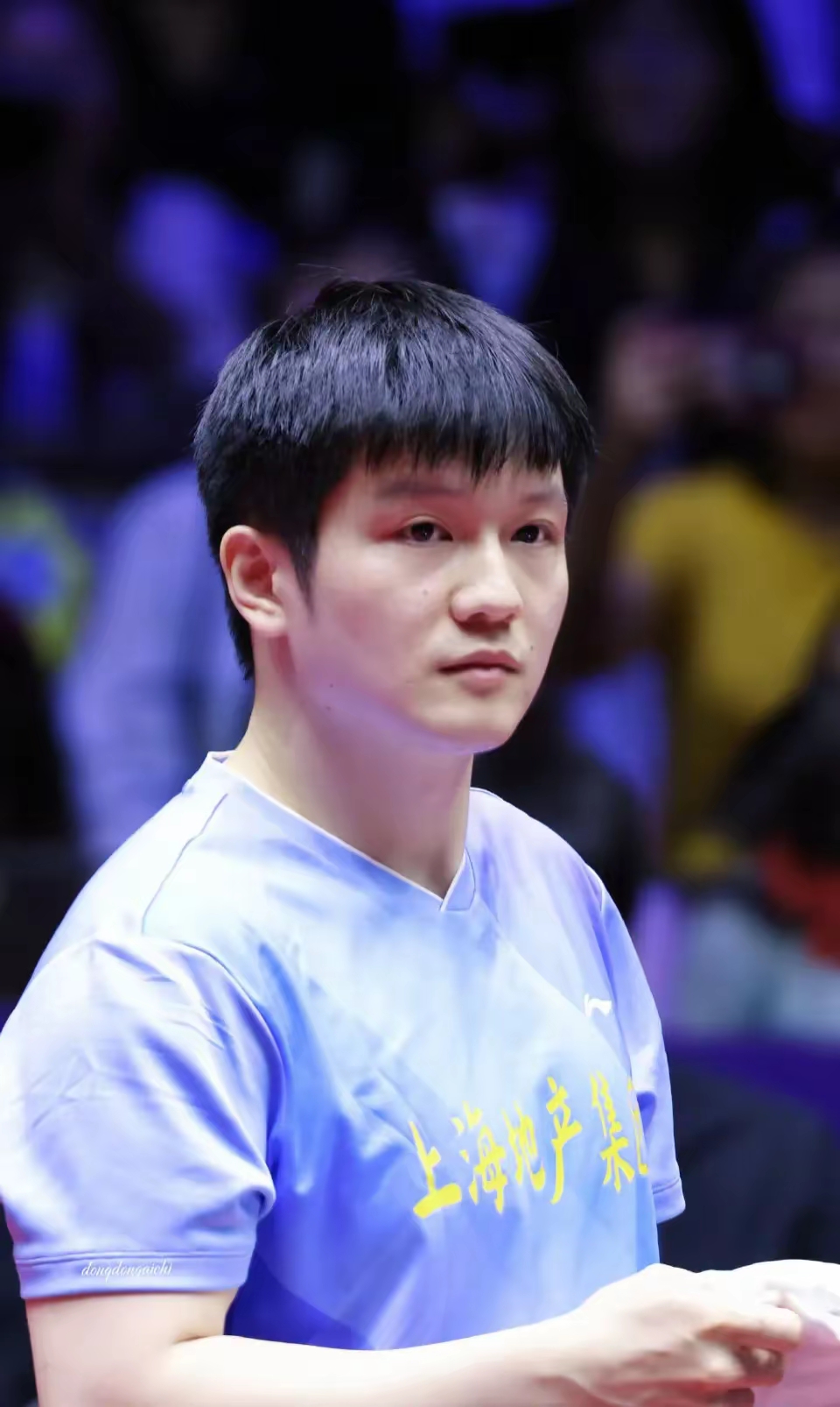 葡萄牙队绝杀奥地利队,樊振东状态火热 葡萄牙队绝杀奥地利队,樊振东状态火热