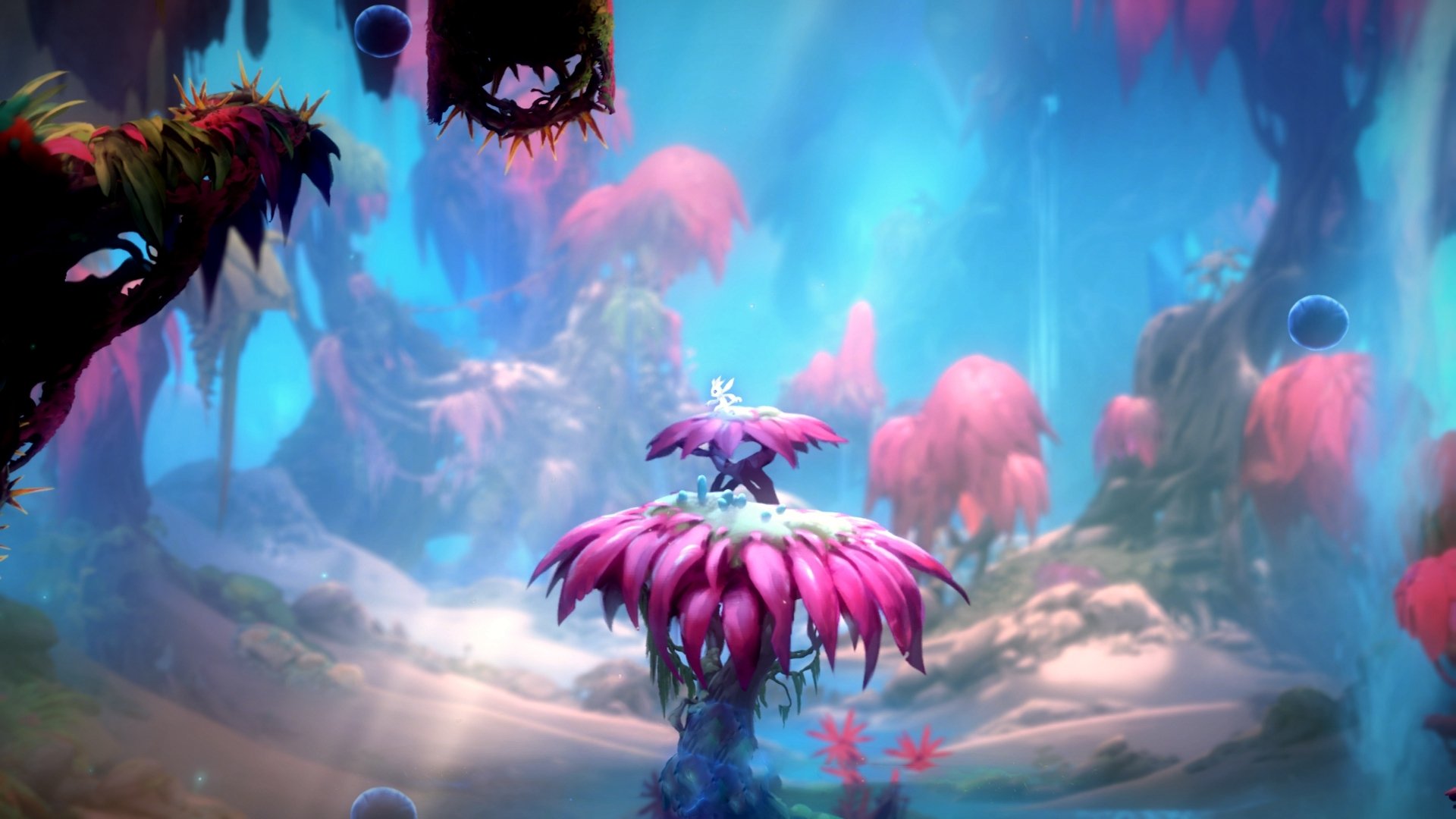 当足球天才降维打击F1赛场,黄喜灿在卡塔尔夜赛道完成史诗级接管