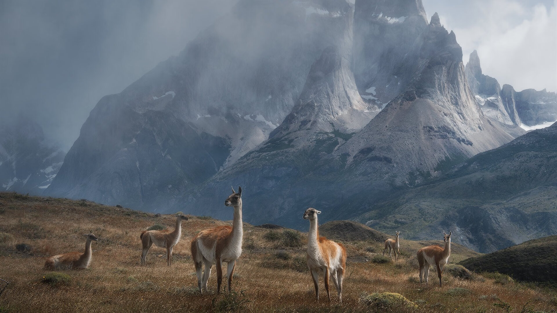 从摩纳哥到曼彻斯特，本泽马如何成为现代足球的冠军导体