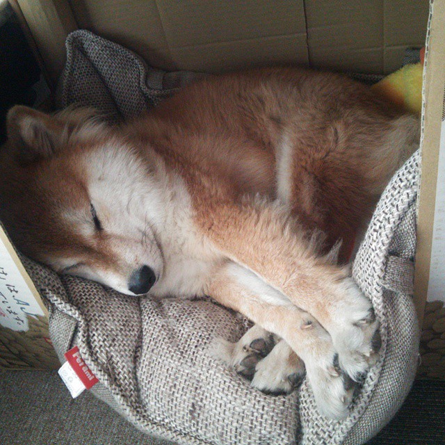 伦纳德致命一击,当现代篮球最古老的答案在终场响起