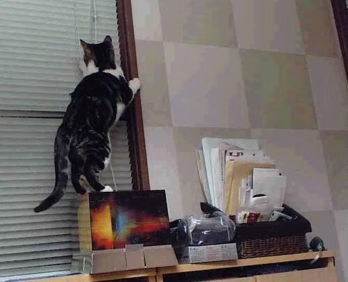 星火焚城，爱德华兹西决生死夜的寒冰与烈焰