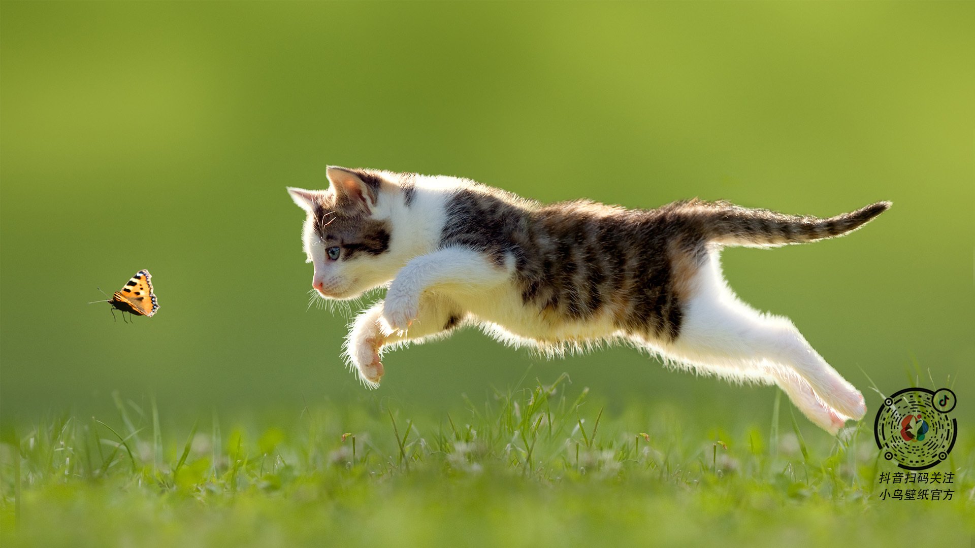 从容的雄鹿,凶猛的詹姆斯—当代篮球的两种赢家逻辑