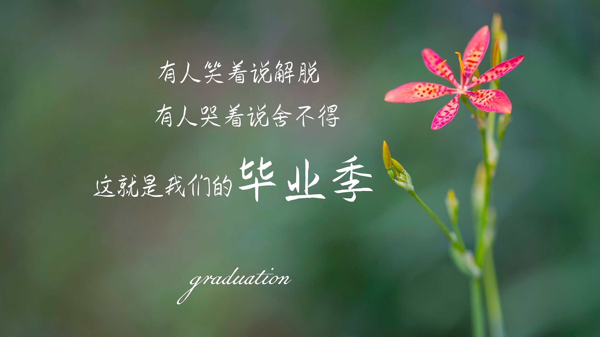 当东方红浪席卷美利坚，欧文抢七封神夜，山西队上演篮球版封狼居胥