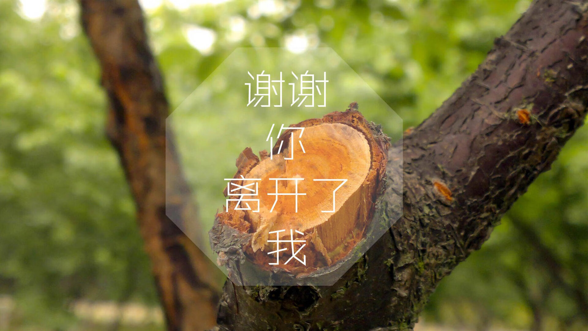 2026世界杯G组生死战，波兰锋线狂潮席卷西班牙，佩德里独木难支成悲情英雄